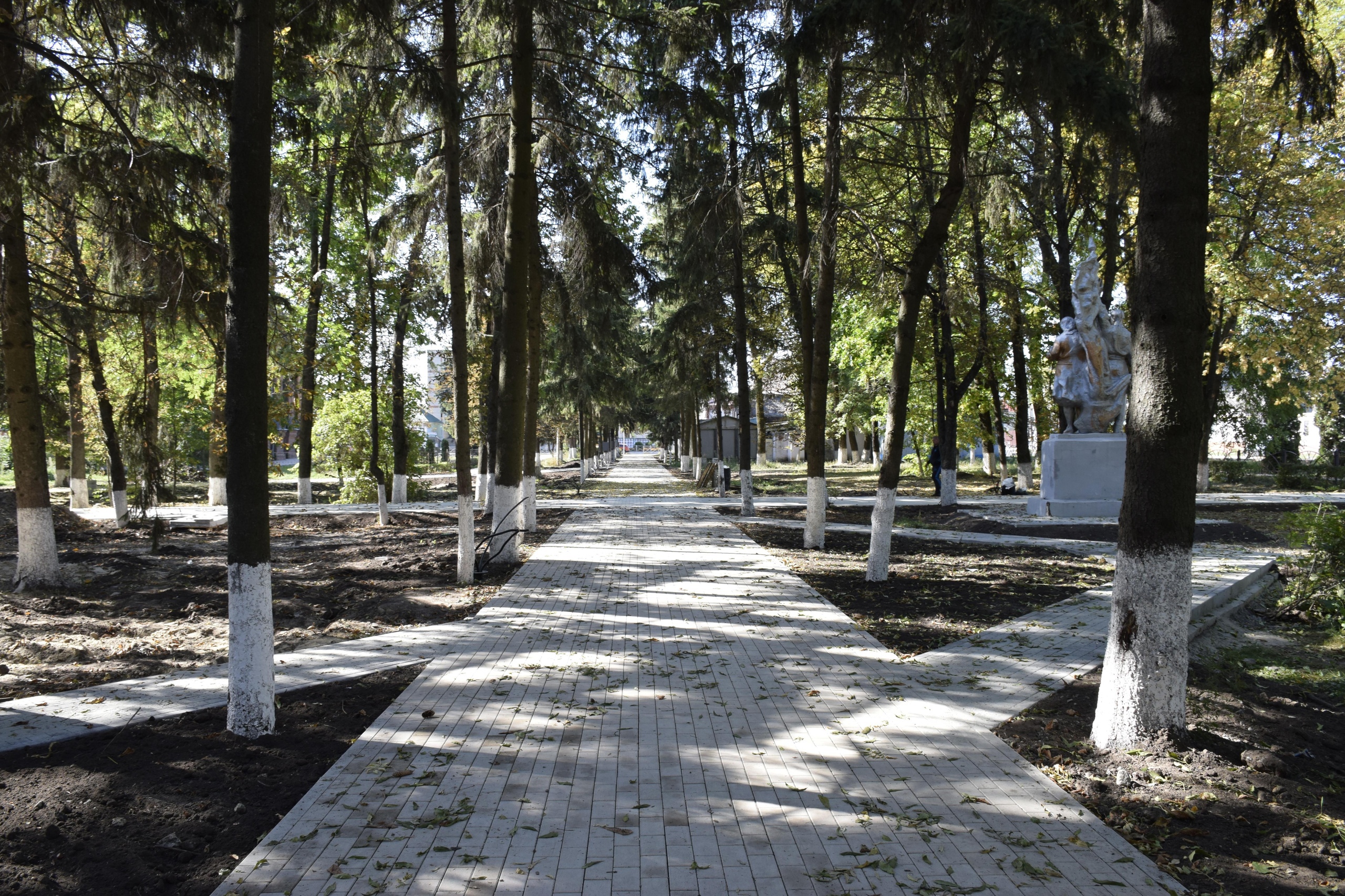 Благоустройство городского парка.